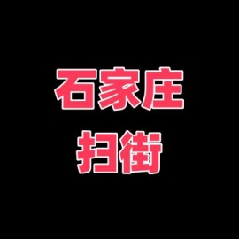 石家庄扫街