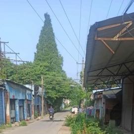 芜湖扫街
